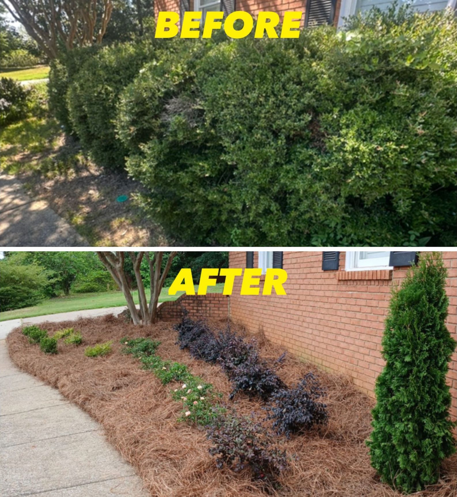 A before and after picture of a garden with trees and bushes