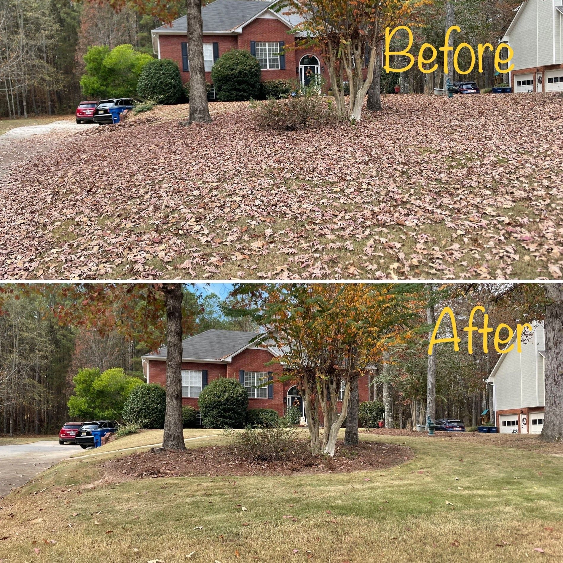 Before and After Leaf Cleanup Service