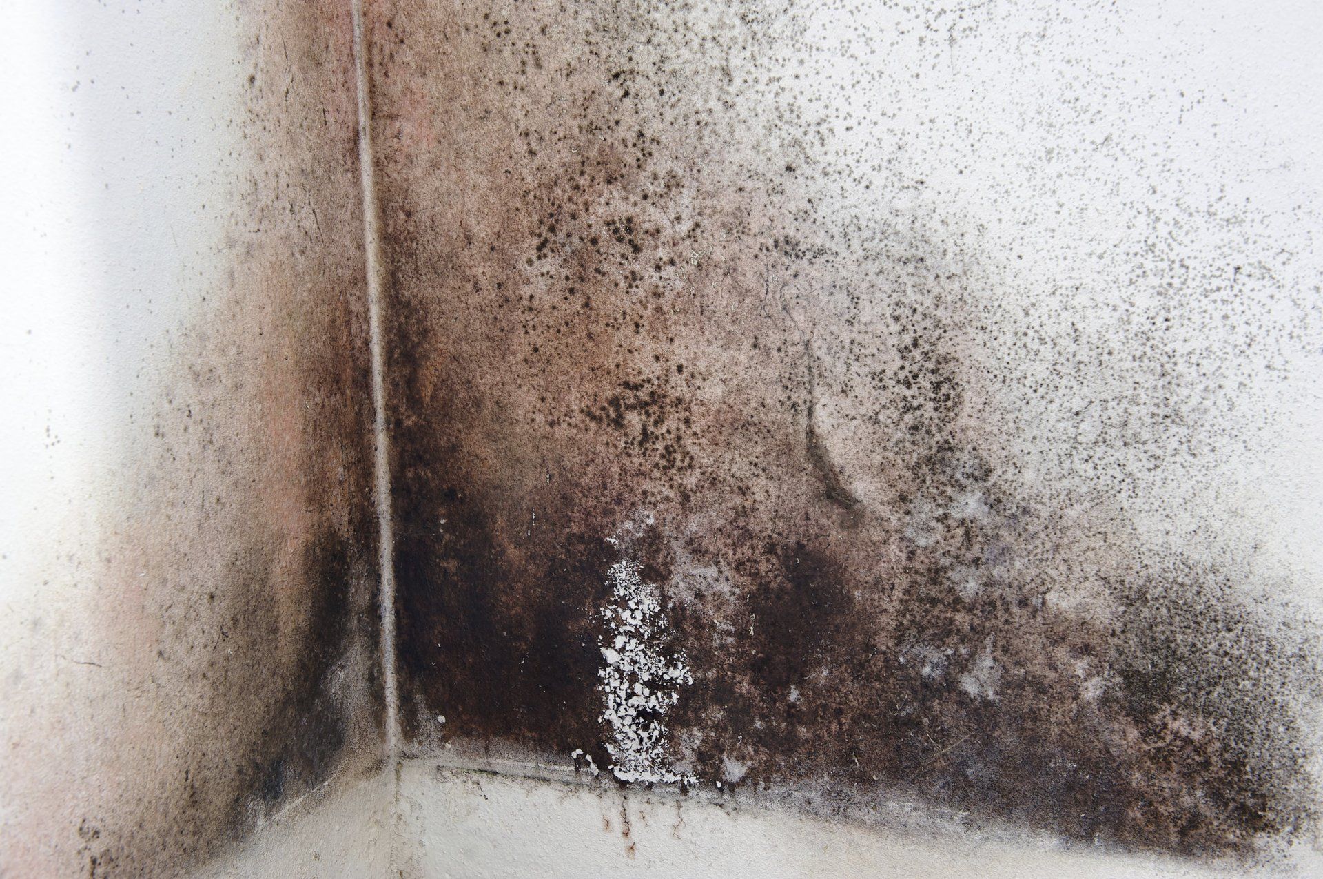 damaged and dirty wall