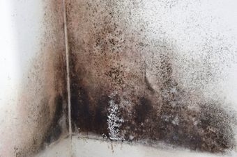 partially damp wall