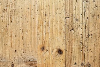 damaged wood