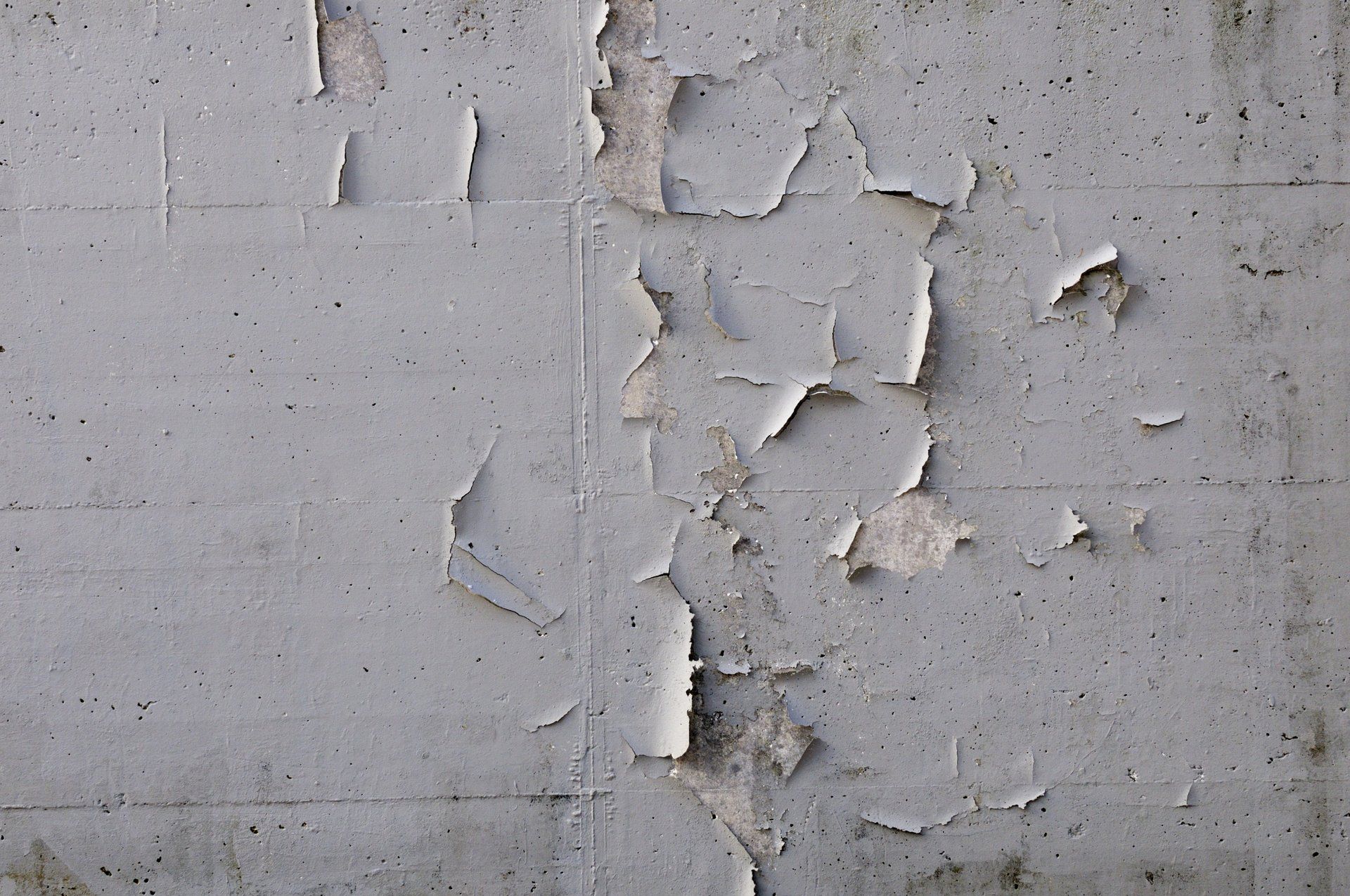 damp wall