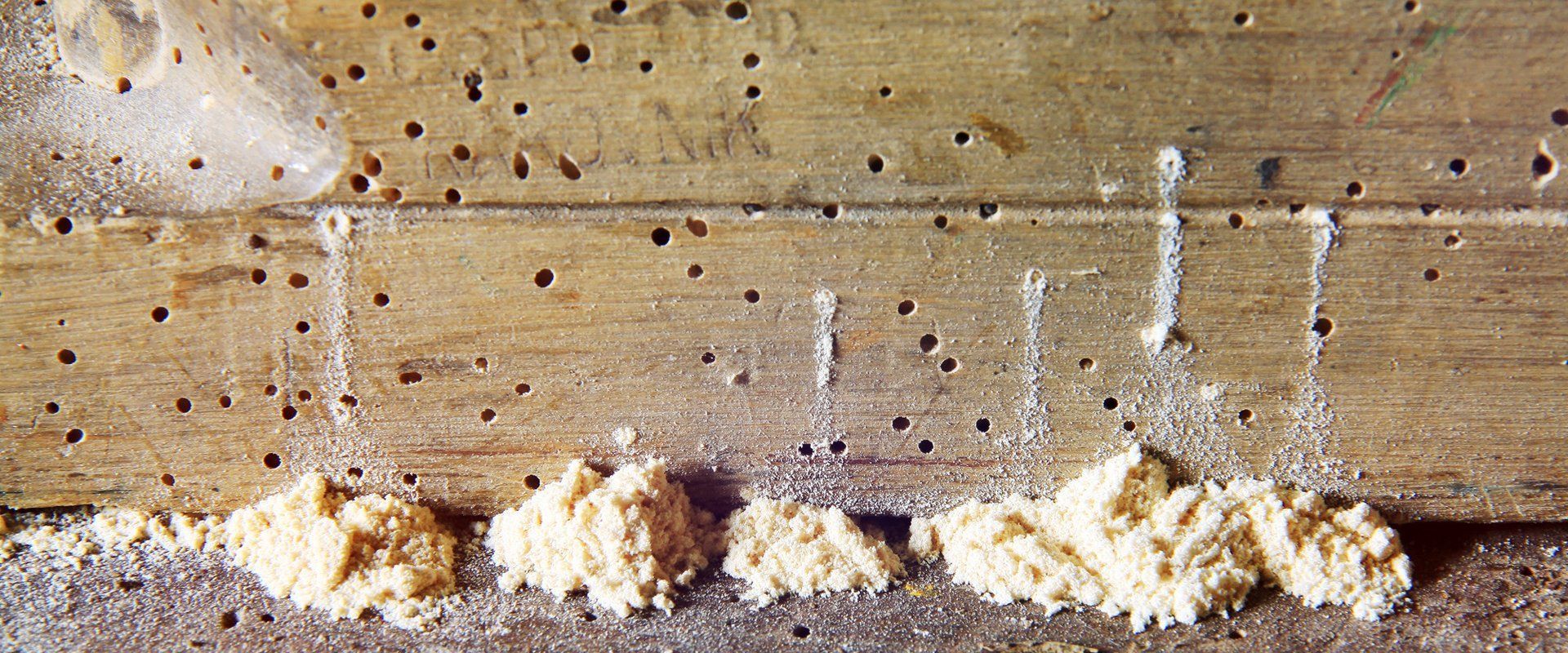 rotten wood