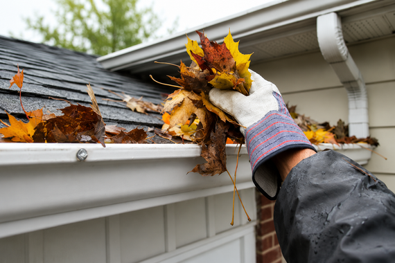 Gloved hand removing wet leaves from a gutter on a house roofline