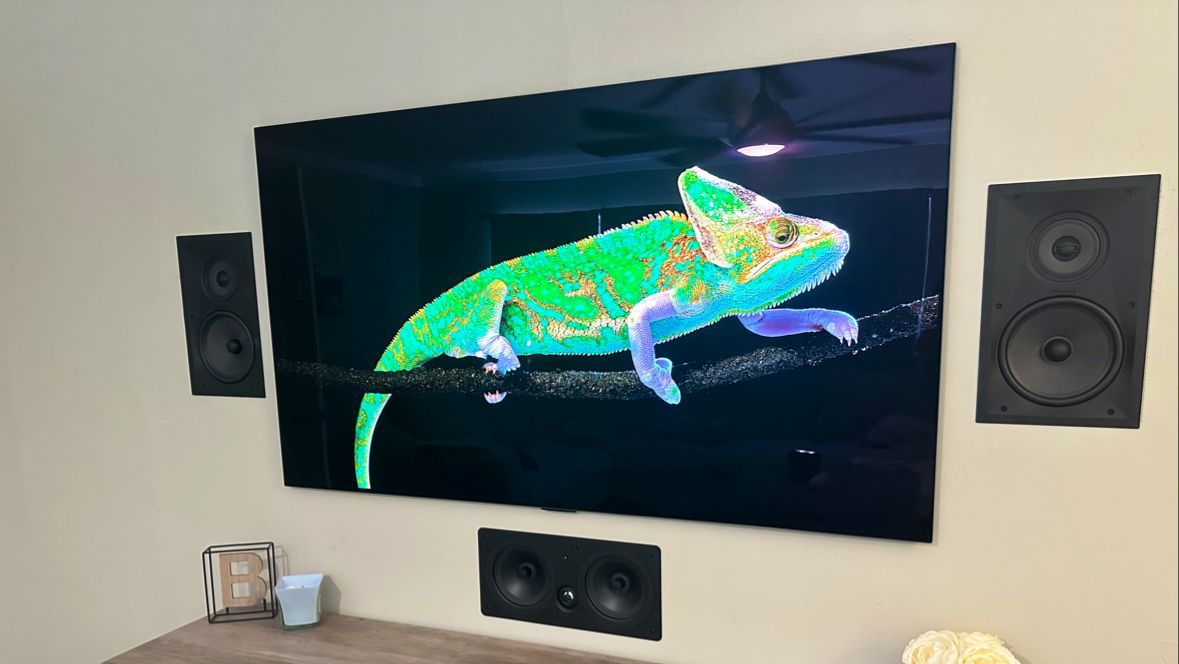 A chameleon is sitting on a branch on a television screen.