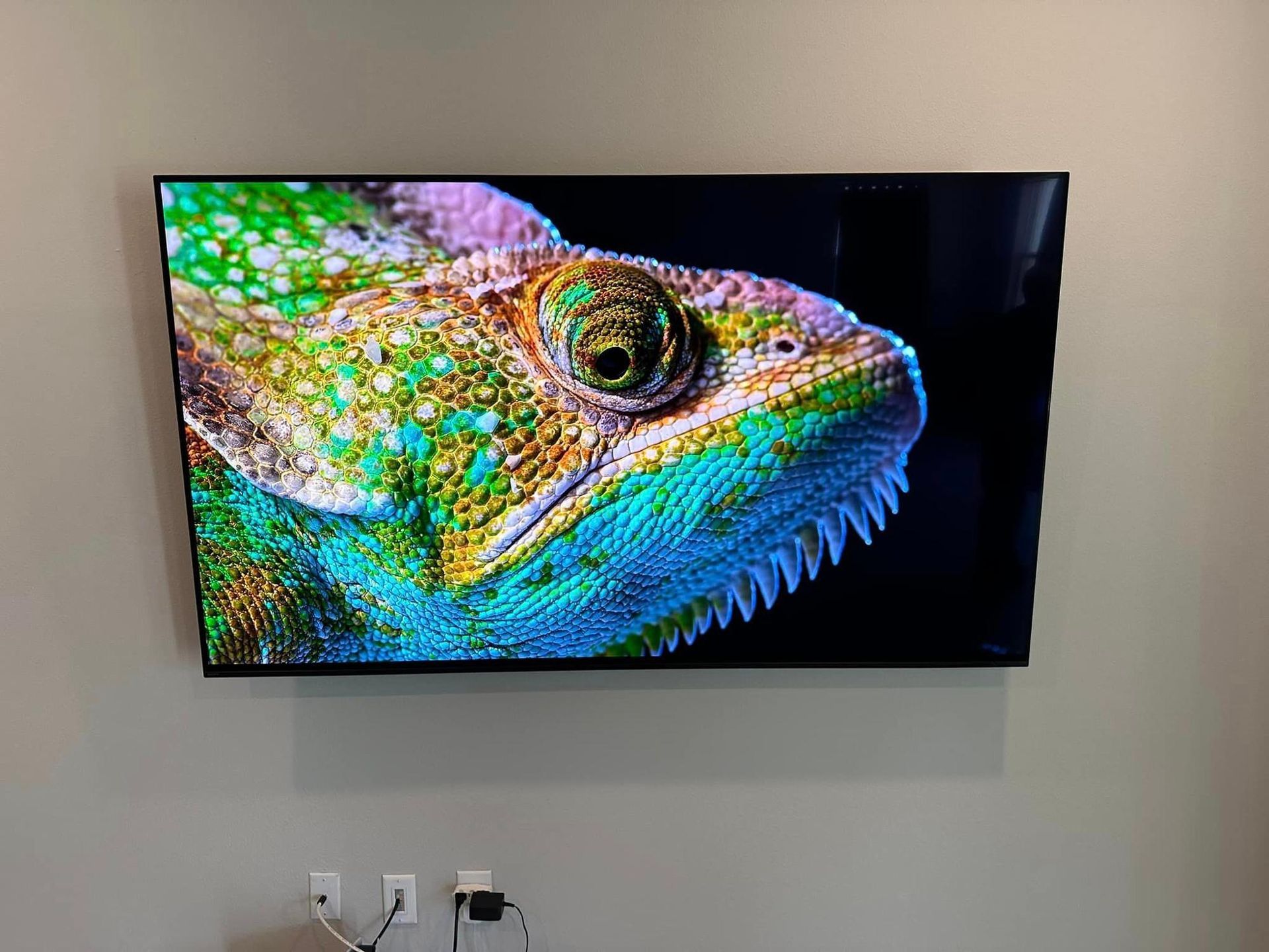 A television is hanging on a wall with a picture of a chameleon on it.