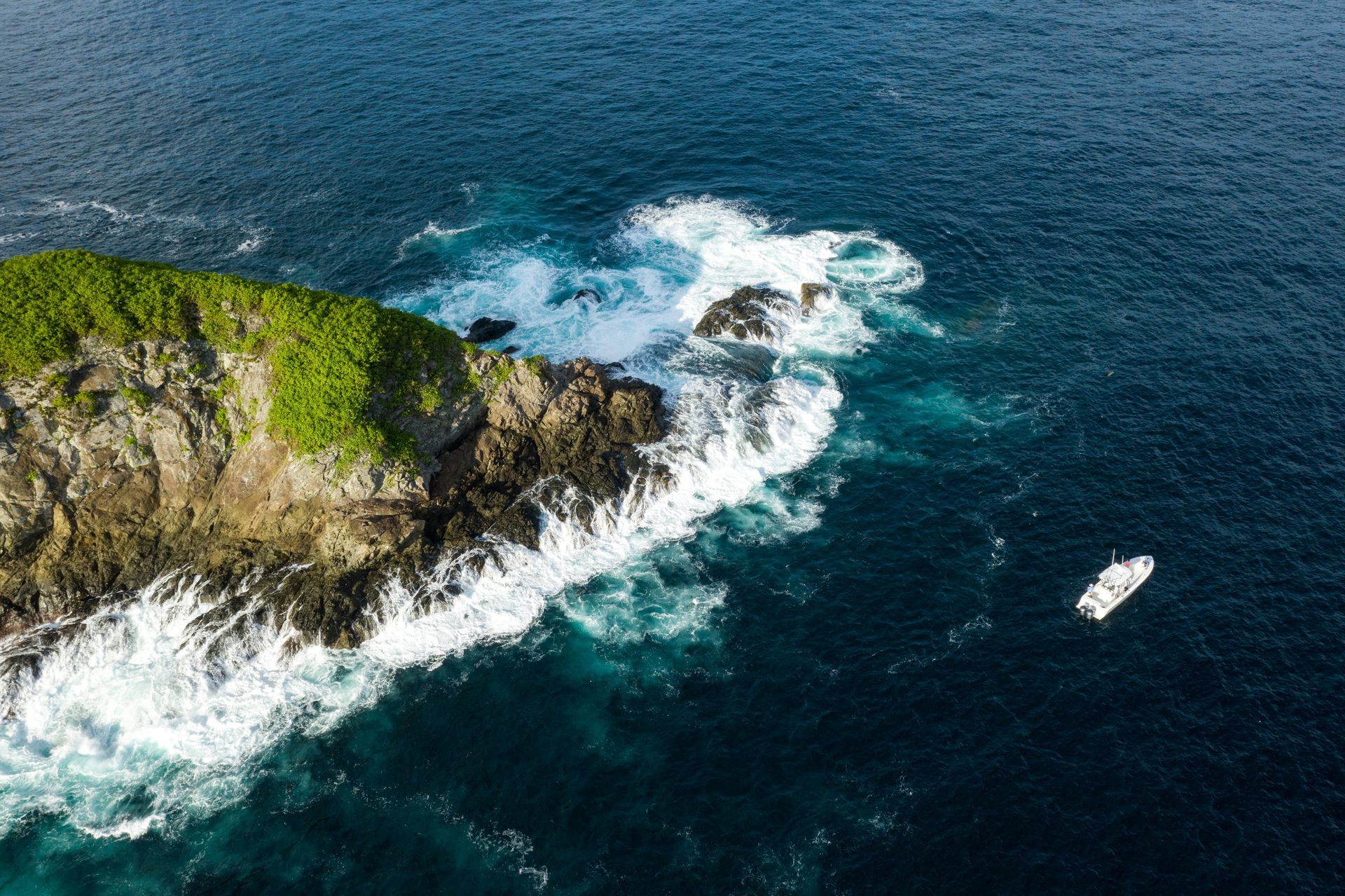 A man is holding a large fish on a boat.