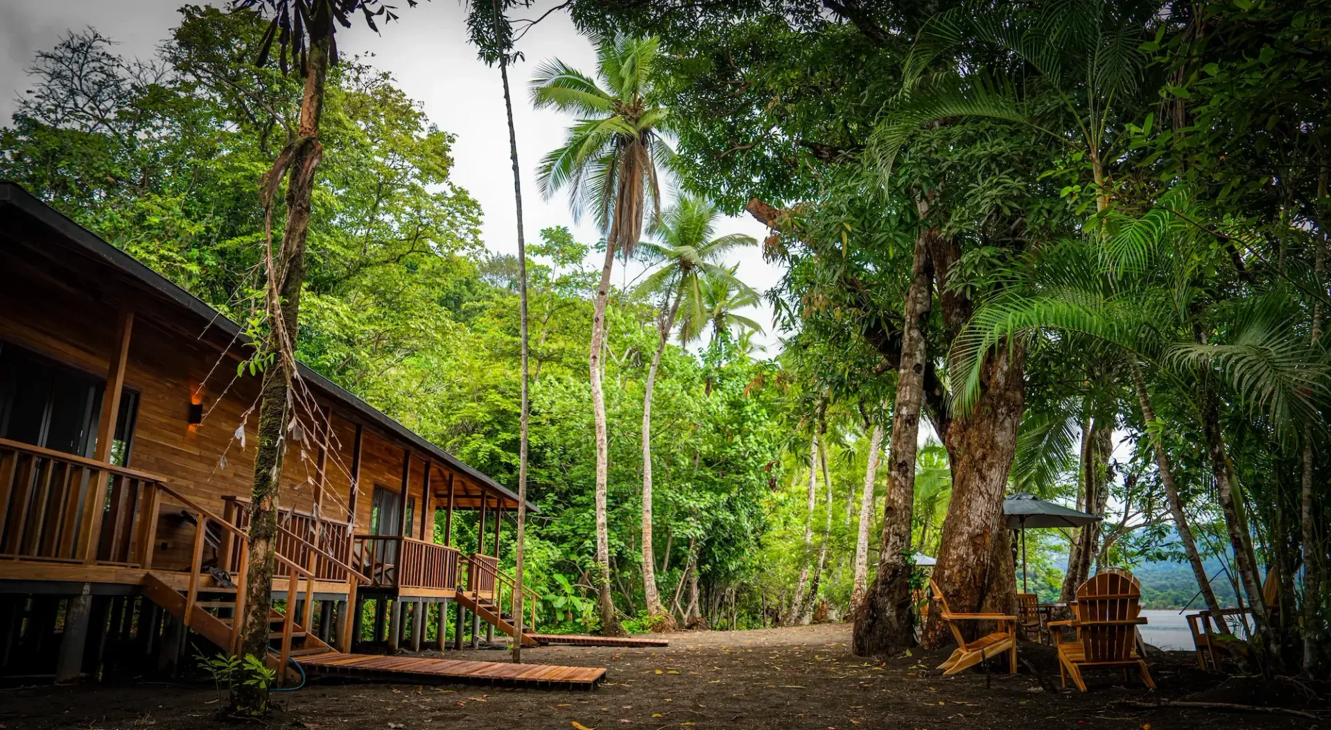 A wooden house in the middle of a lush green forest surrounded by trees.