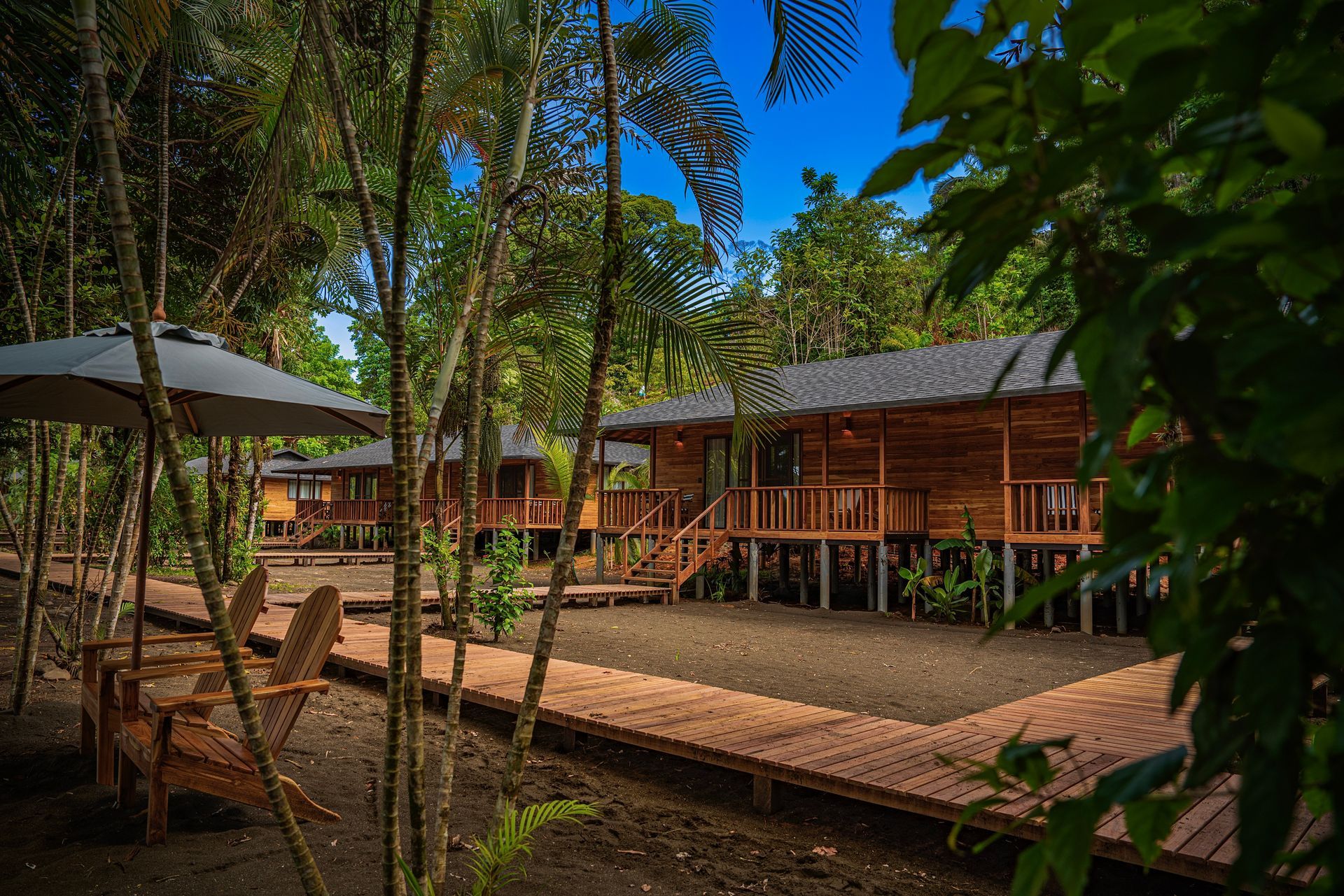 A group of wooden houses sitting on top of stilts in the middle of a forest.