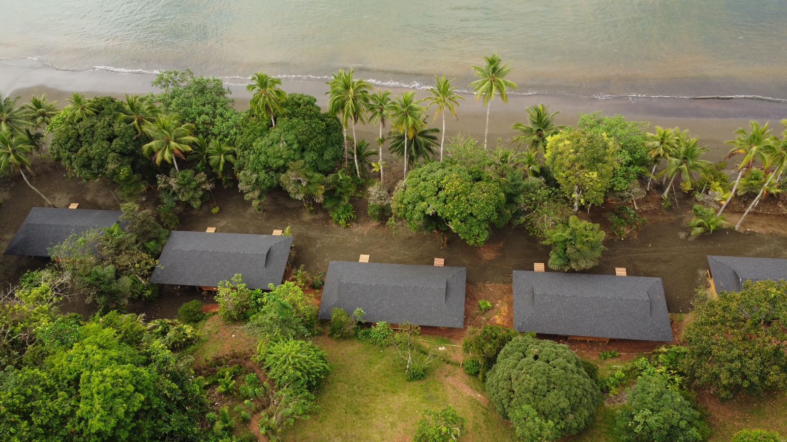 An aerial view of a row of houses next to a beach surrounded by trees.