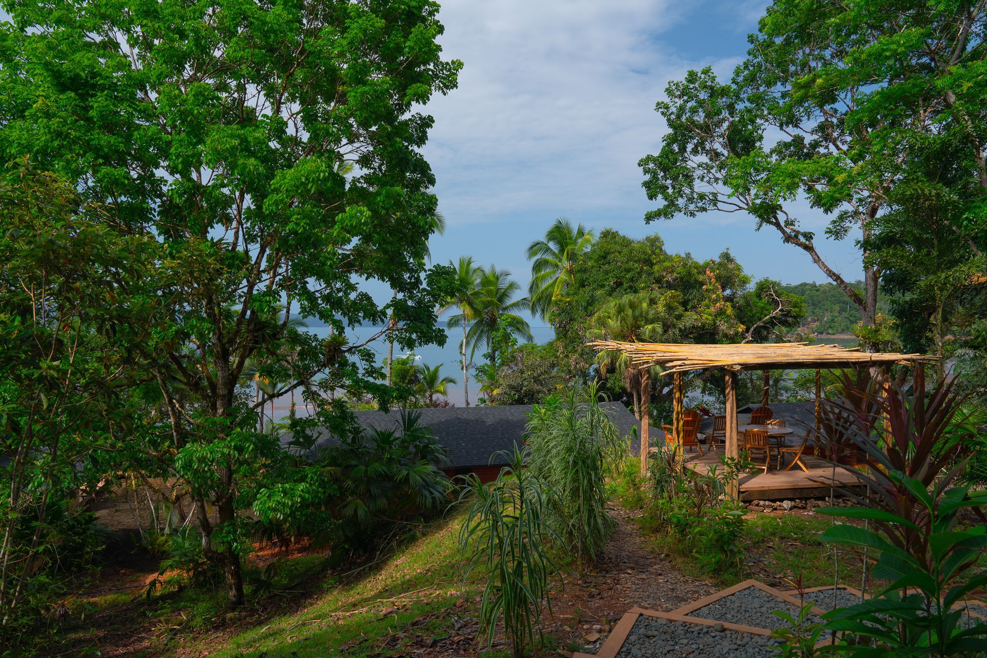 There is a gazebo in the middle of a forest surrounded by trees.