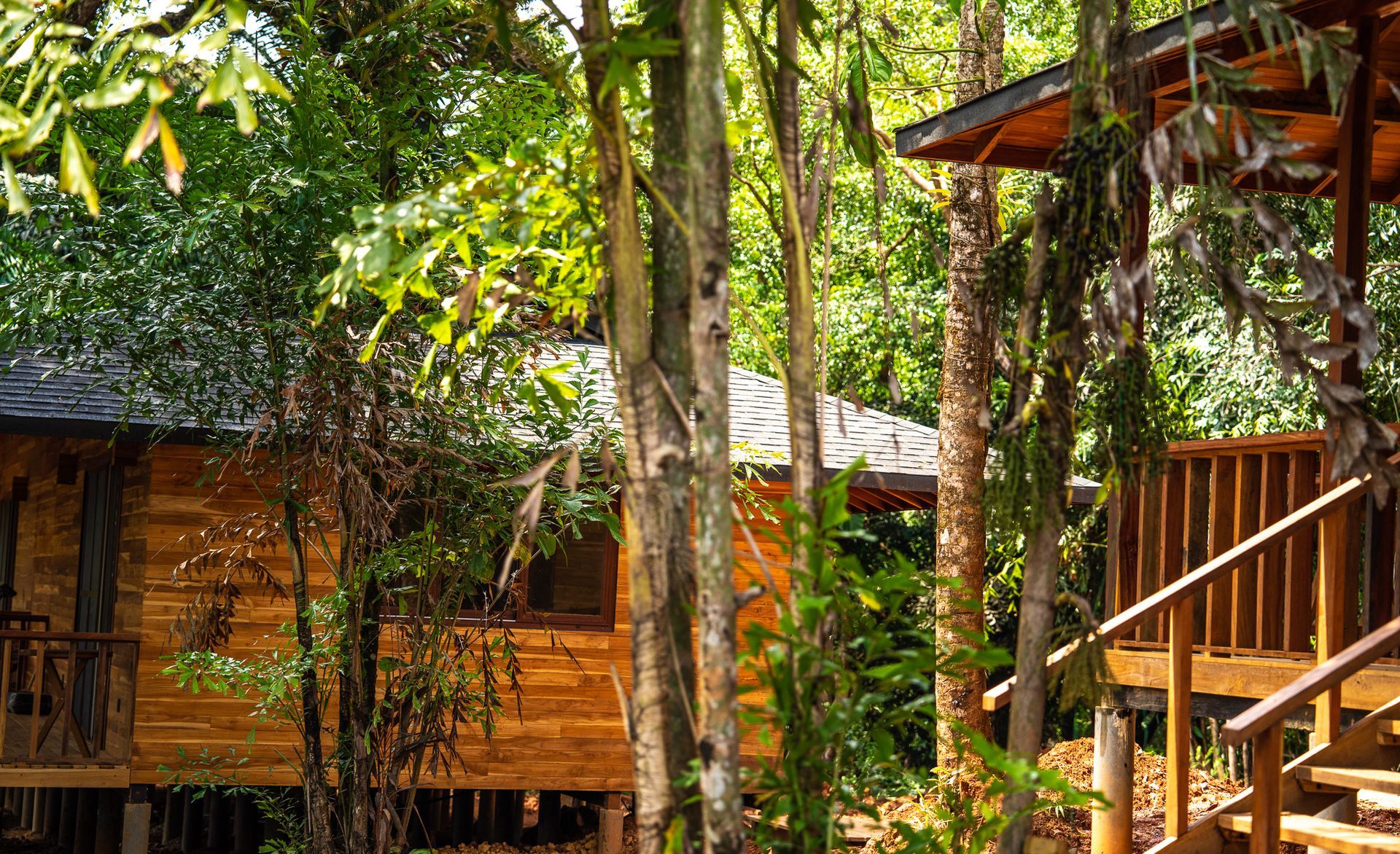 A couple of small wooden houses in the middle of a forest.