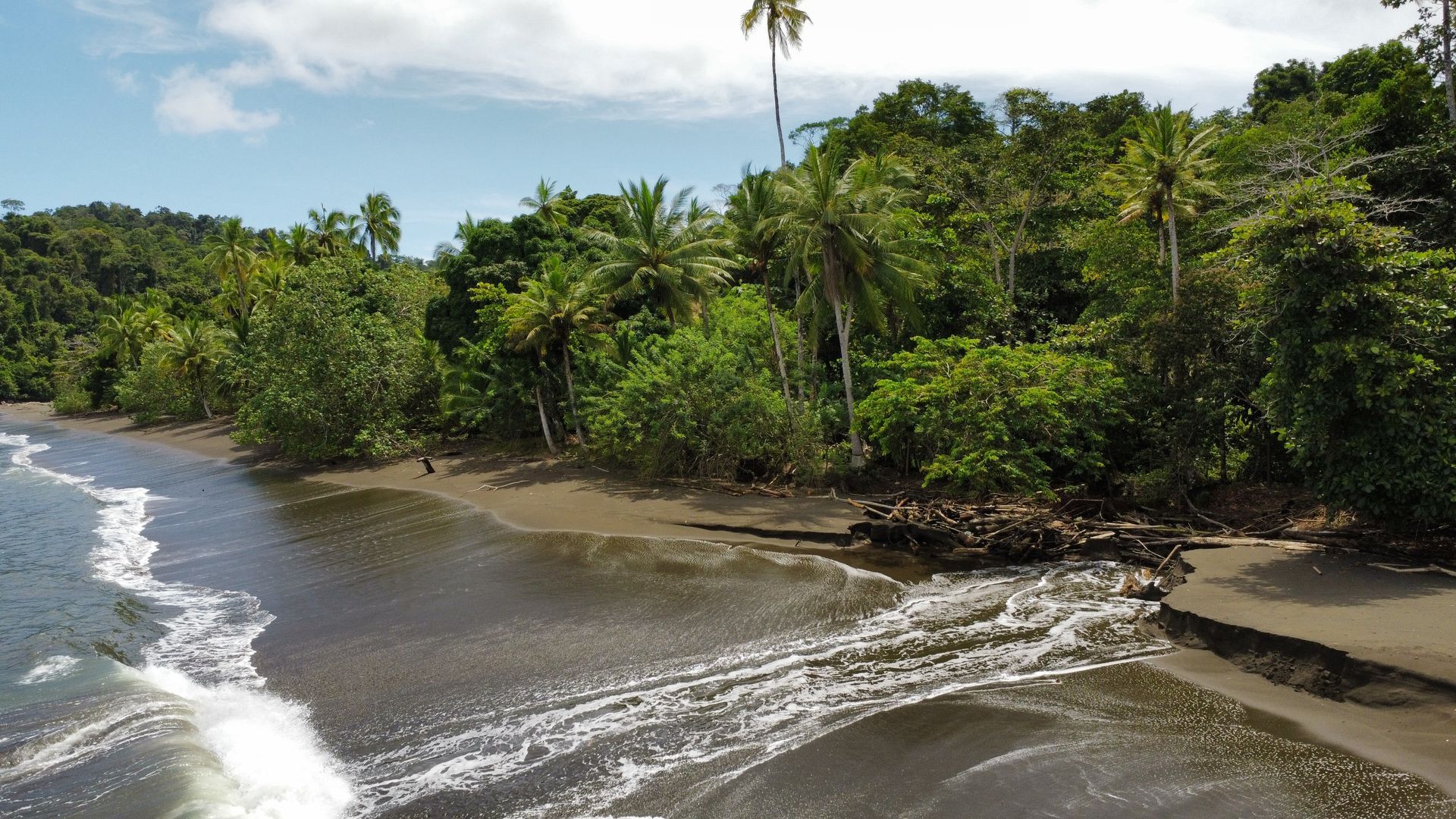 An aerial view of a beach surrounded by trees and waves