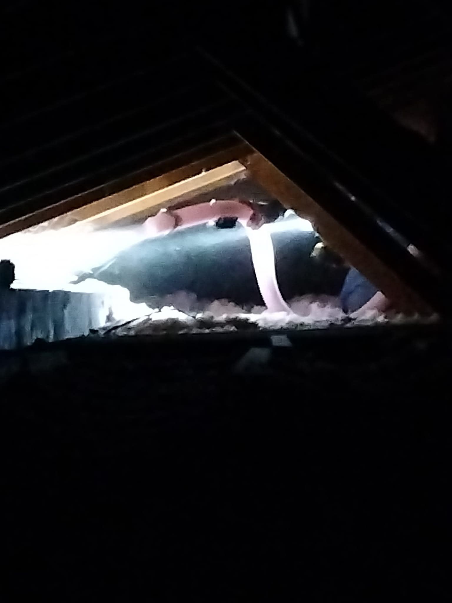 View inside an attic with visible insulation, beams, and ductwork illuminated by natural light.