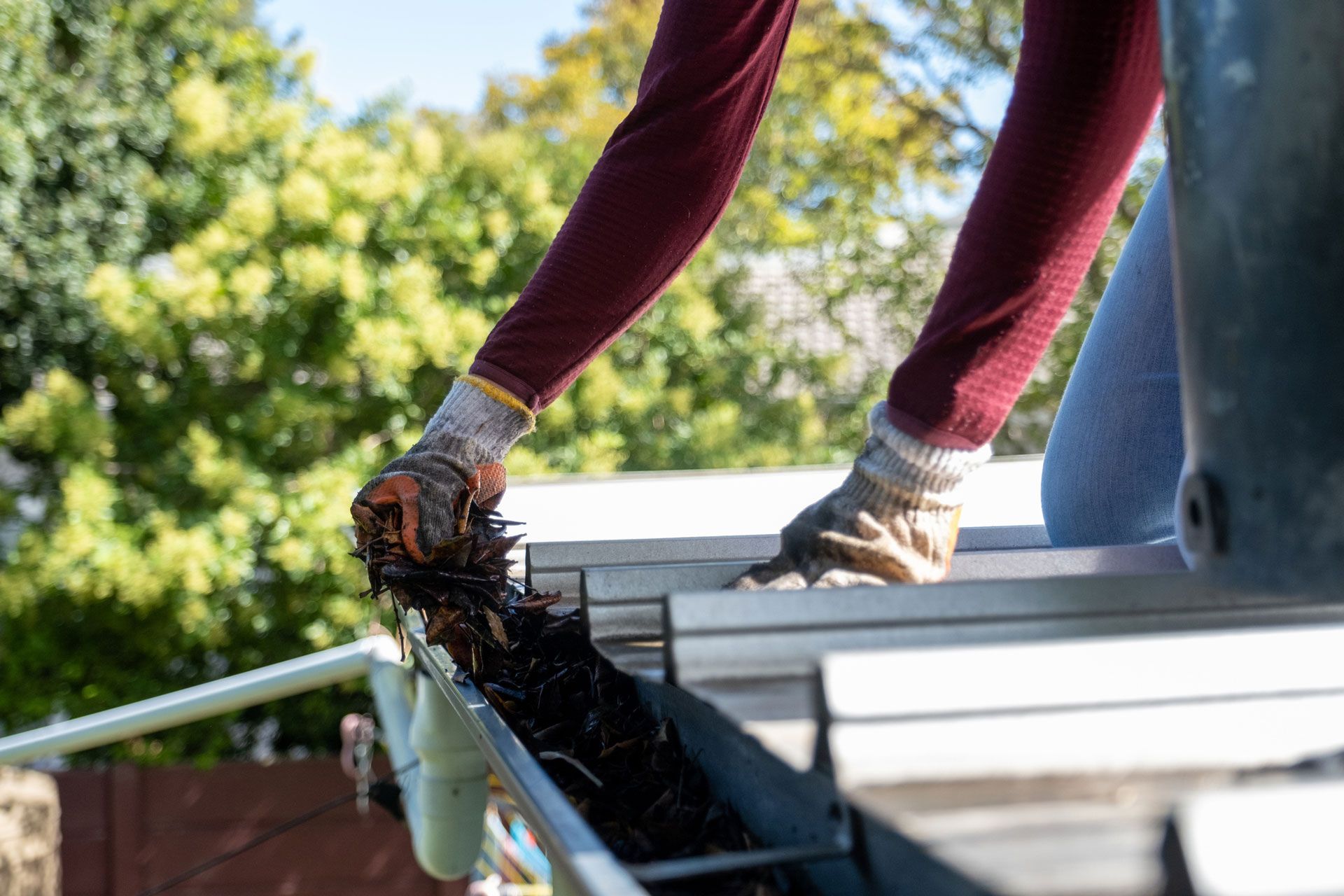 Person cleaning a gutter with gloved hands, removing debris. Outdoors, sunny.