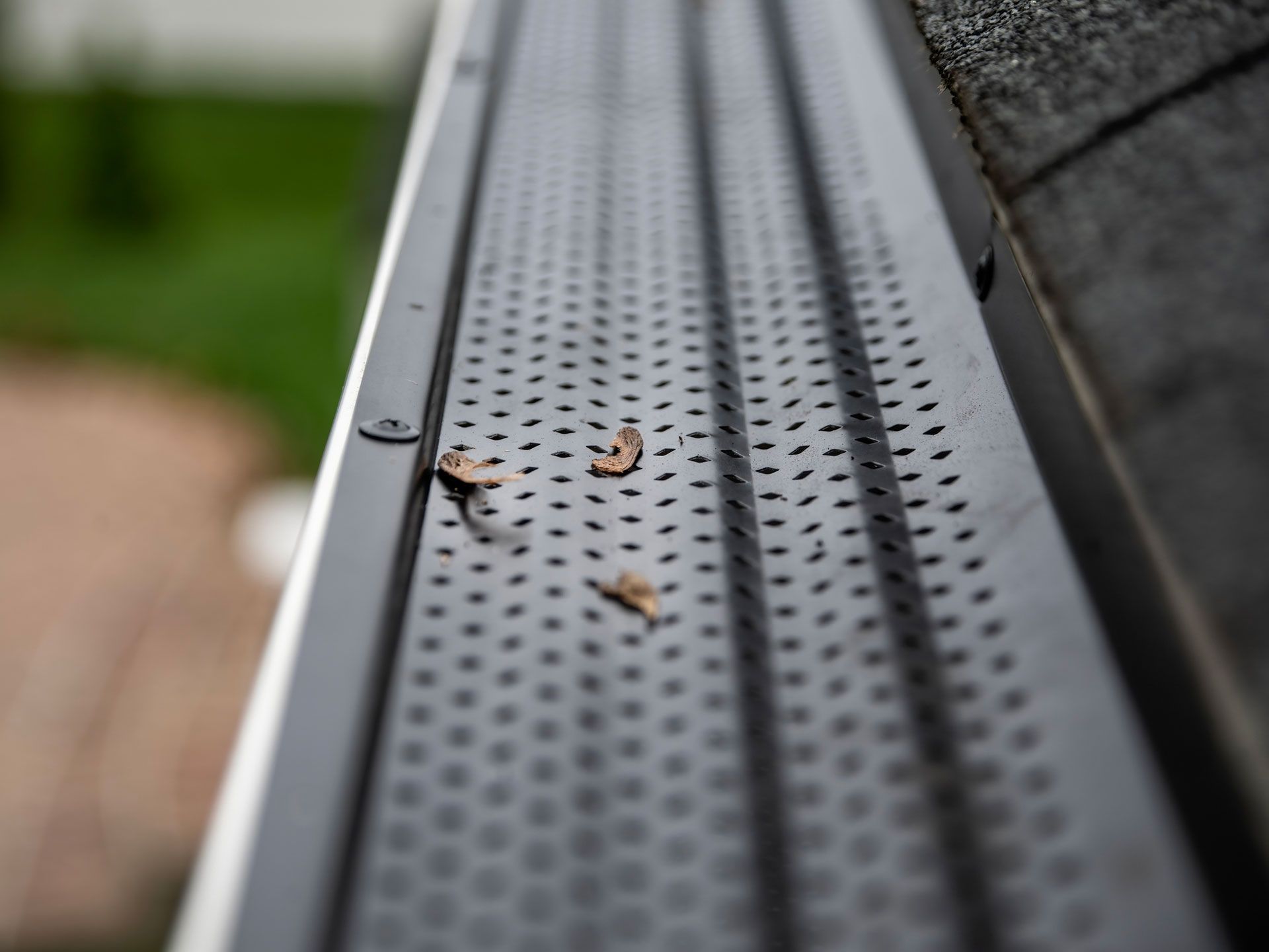 Close-up of a gutter guard with small holes, some leaves, and a portion of a roof.