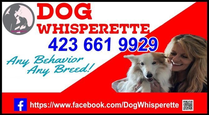 Dog Whisperette Facebook Banner