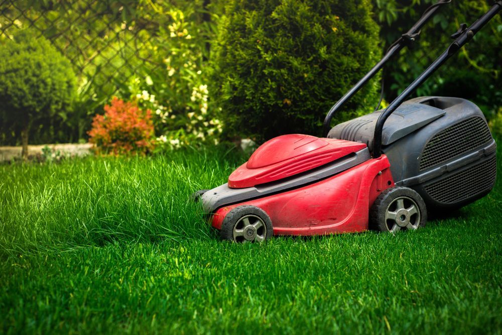 Red Lawnmower Cutting Bright Green Grass in a Garden With a Fence — Chore Lovers in Caboolture, QLD