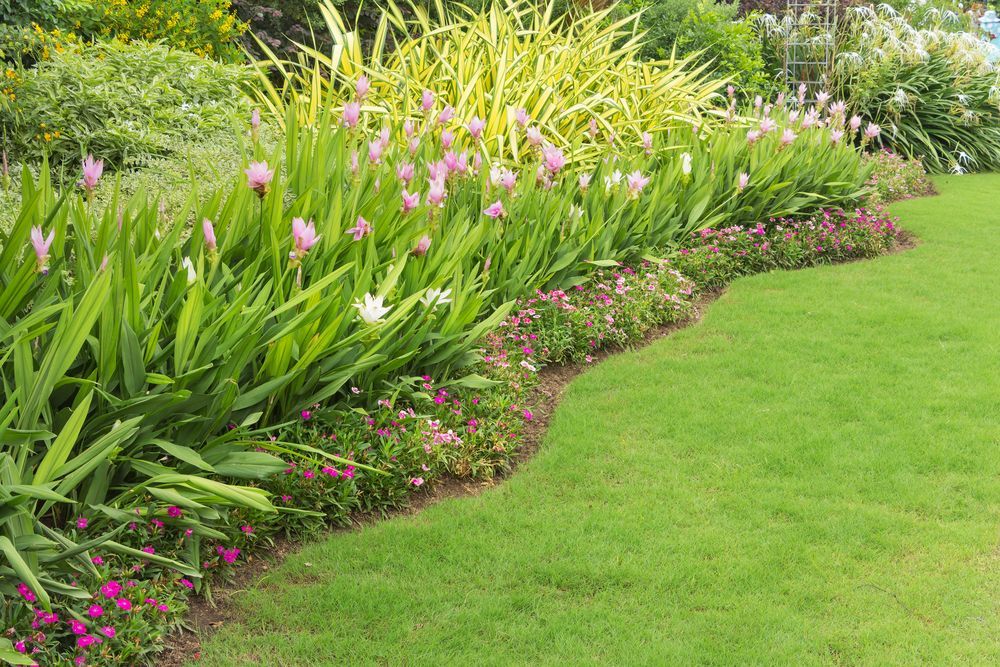 Lush Green Lawn With Colourful Flowerbeds in Front of a Modern Building — Chore Lovers in Caboolture, QLD