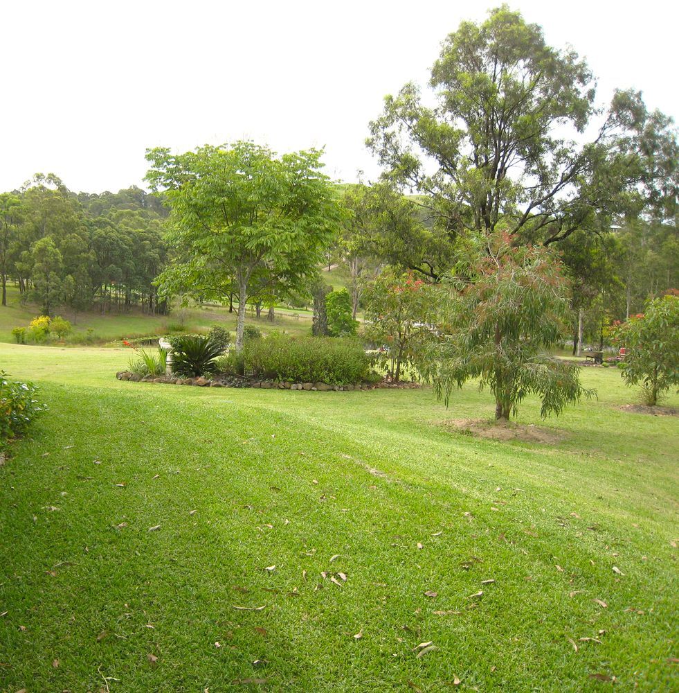 Green Lawn with Trees and Bushes in a Park-like Setting — Chore Lovers in Caboolture, QLD