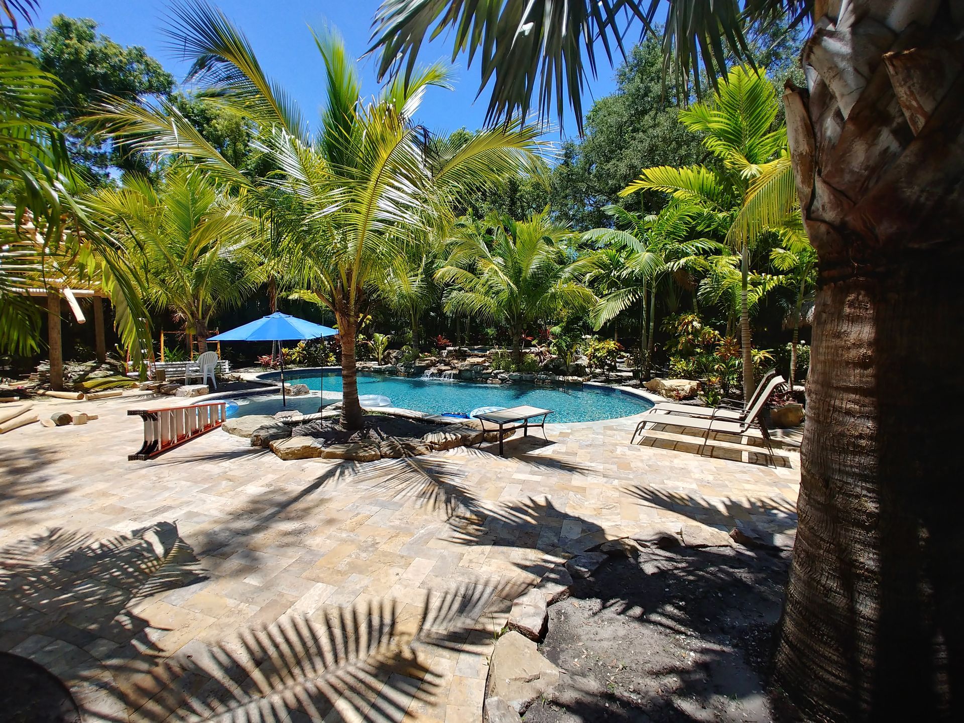 Tropical resort pool with palm trees, lounge chairs, and a blue umbrella in bright sunlight