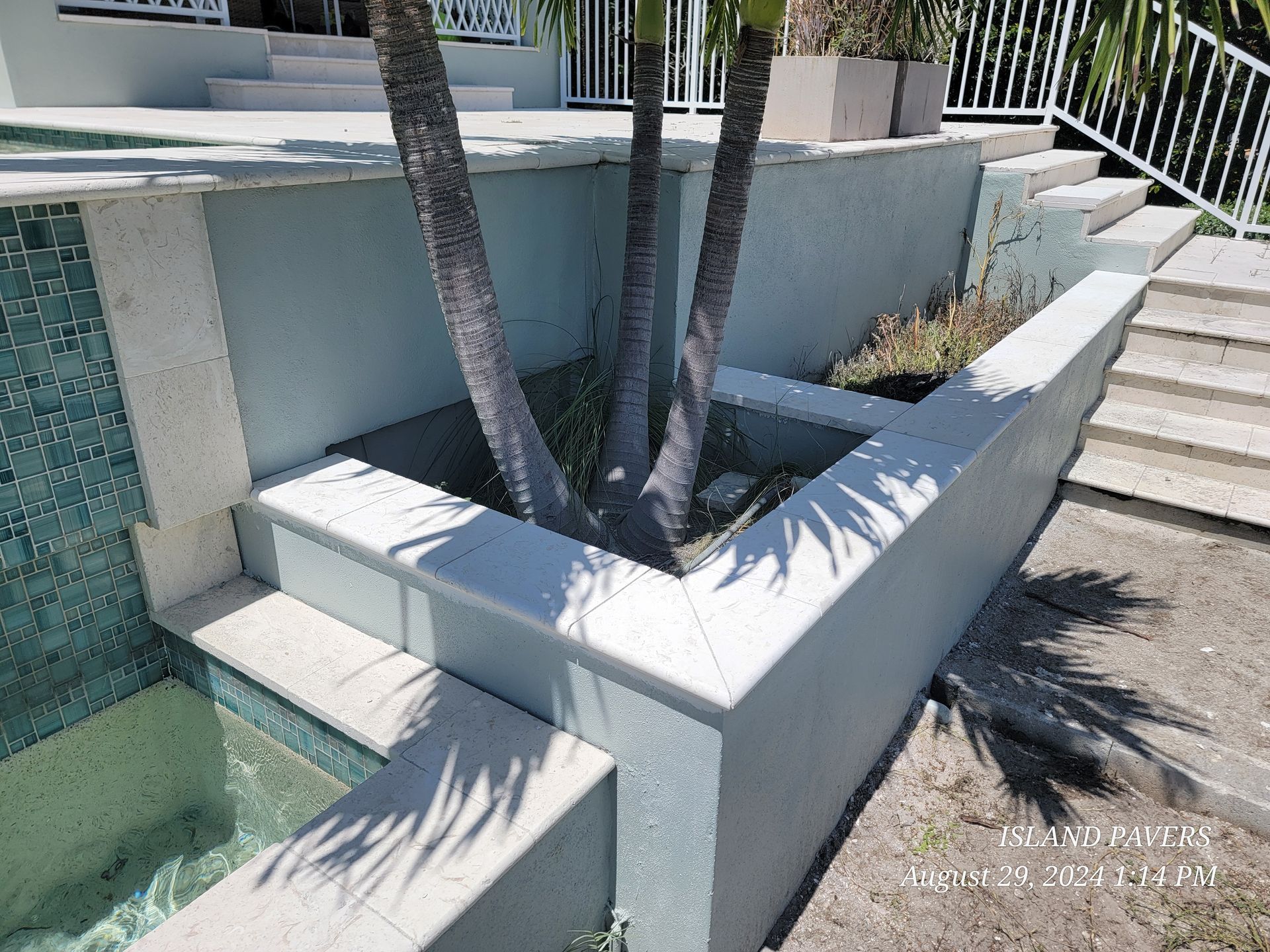 Concrete planter with palm trees beside a pool, casting shadows in bright sun