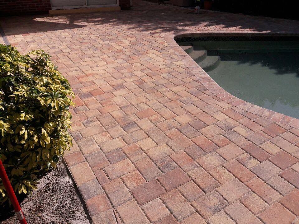 Brick patio beside a pool with curved edge and a shrub in the foreground