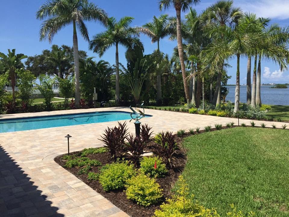 Tropical poolside patio with palm trees, green lawn, and a view of the water under a clear sky