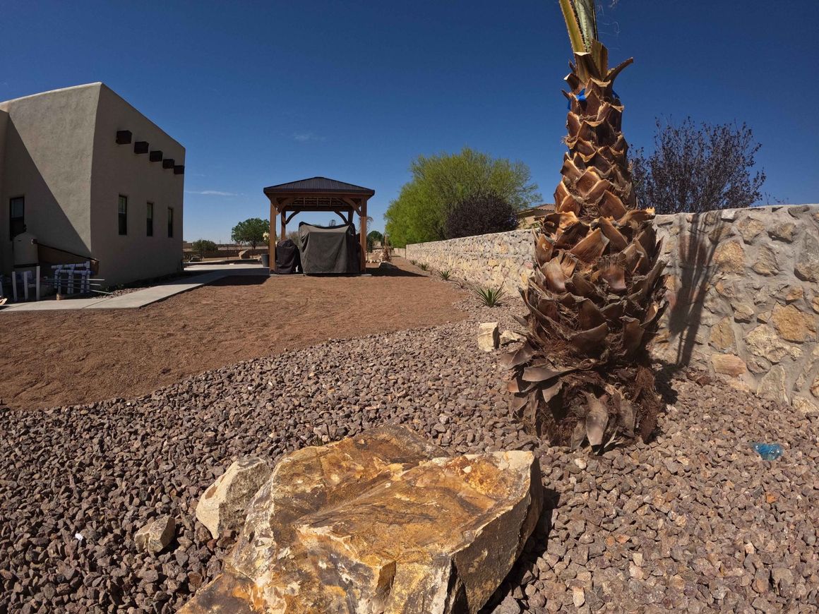 A palm tree is standing next to a large rock in front of a building.