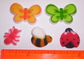 Butterflies, Ladybugs, and Bees