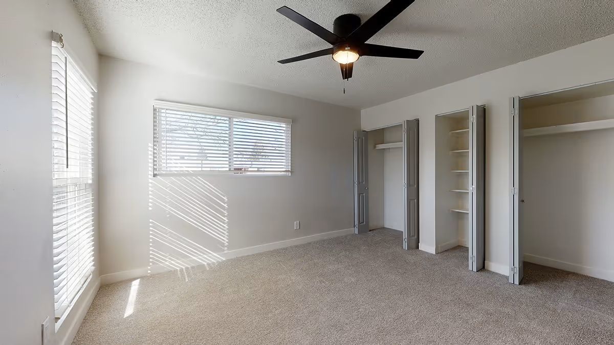An empty bedroom with beige carpet, white walls, a ceiling fan, a window with blinds, and three open closets.