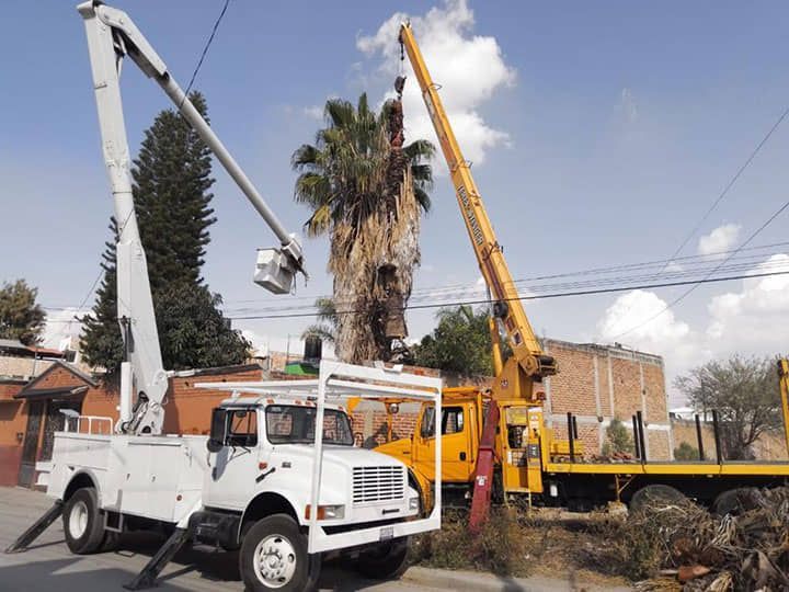 Grúas Eleven - Movimientos con remolques