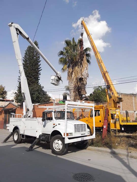 Grúas Eleven - Movimientos para equipos industriales