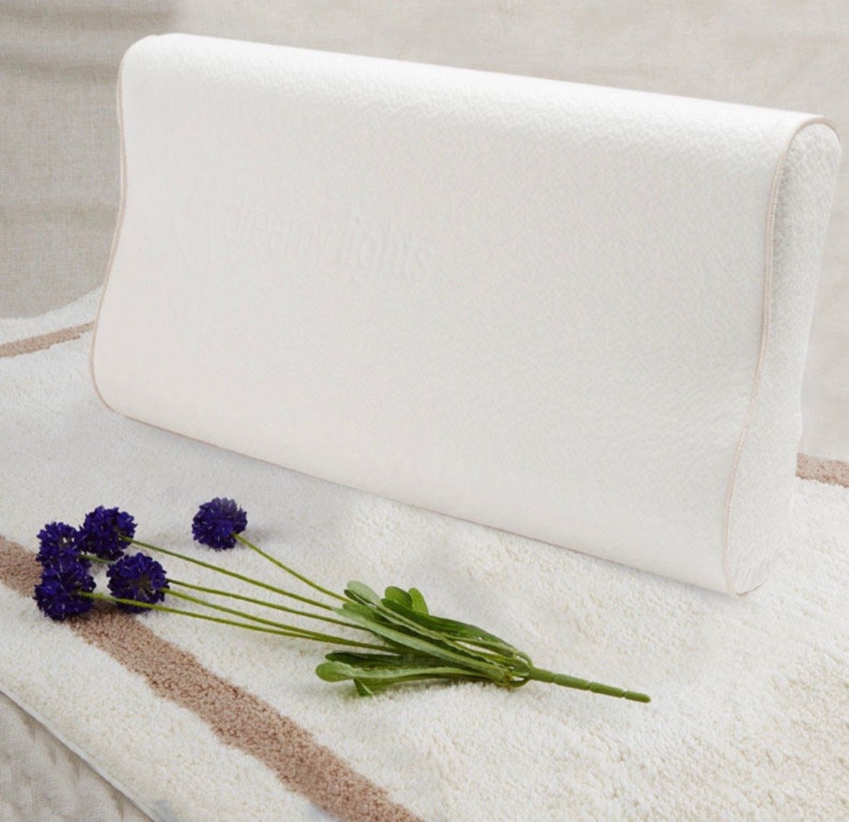 【RoyalWings】頂級天絲TENCEL親水枕 / 高密度 親水記憶棉枕 人體工學型