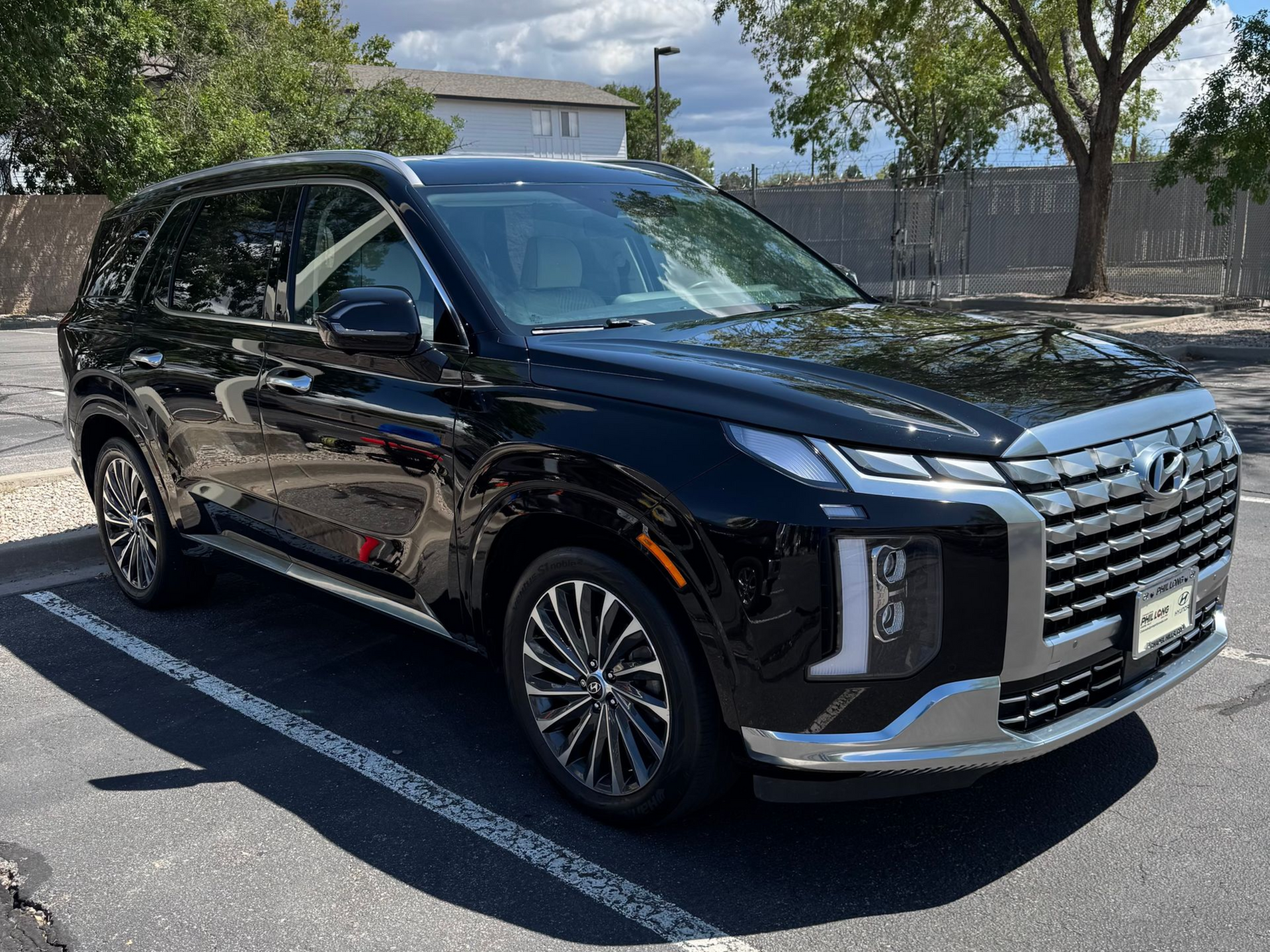 Black Hyundai Palisade SUV parked in a parking lot on a sunny day.