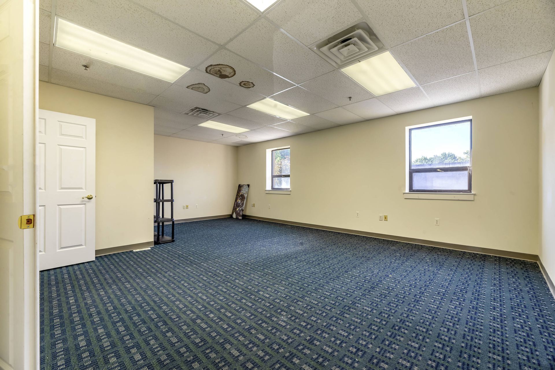 An empty room with a blue carpet and two windows.