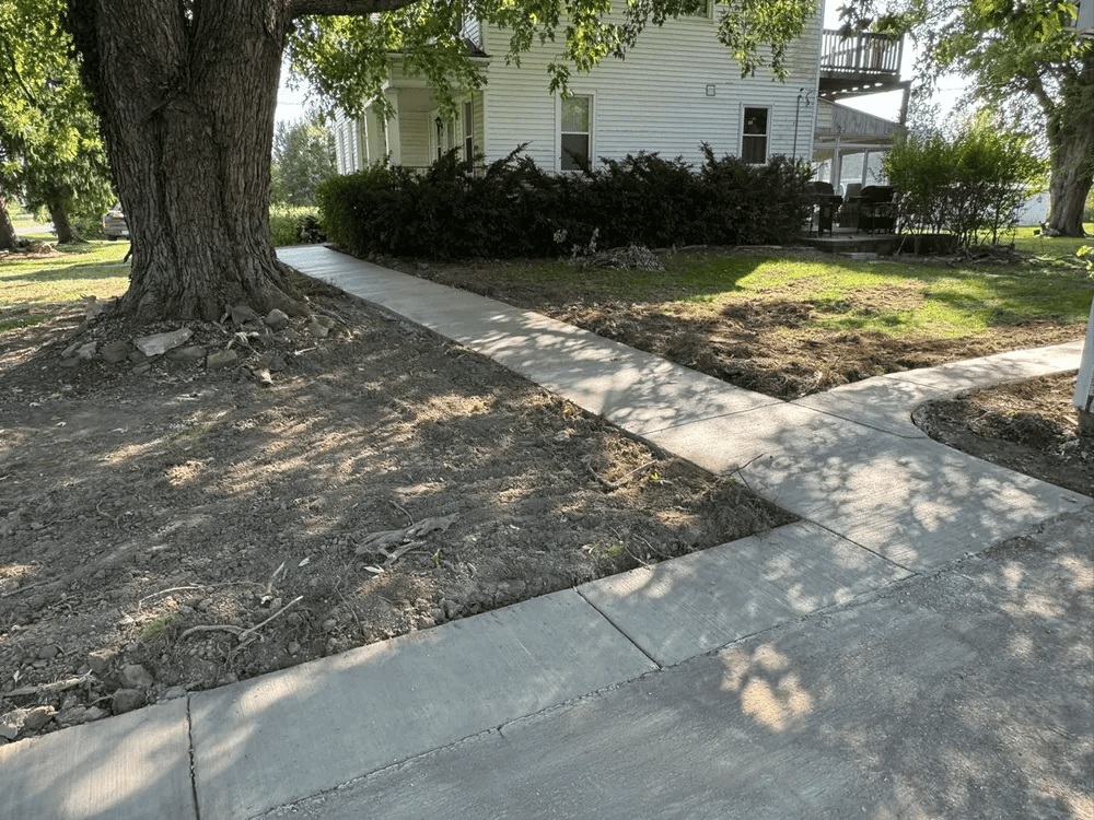 A concrete walkway leading to a white house with a tree in the background.