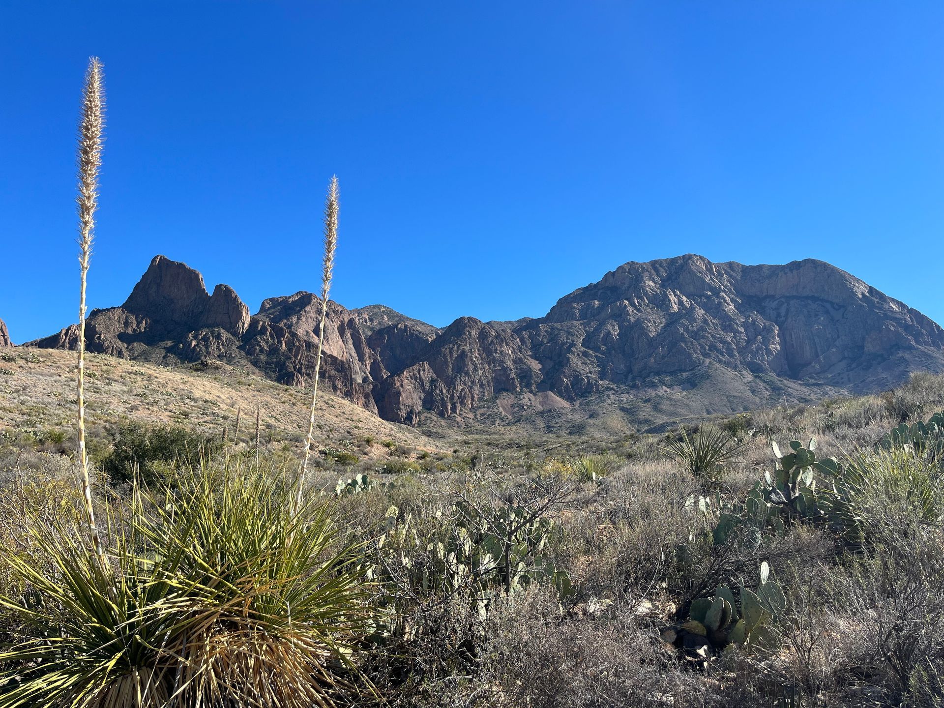 Big Bend National Park