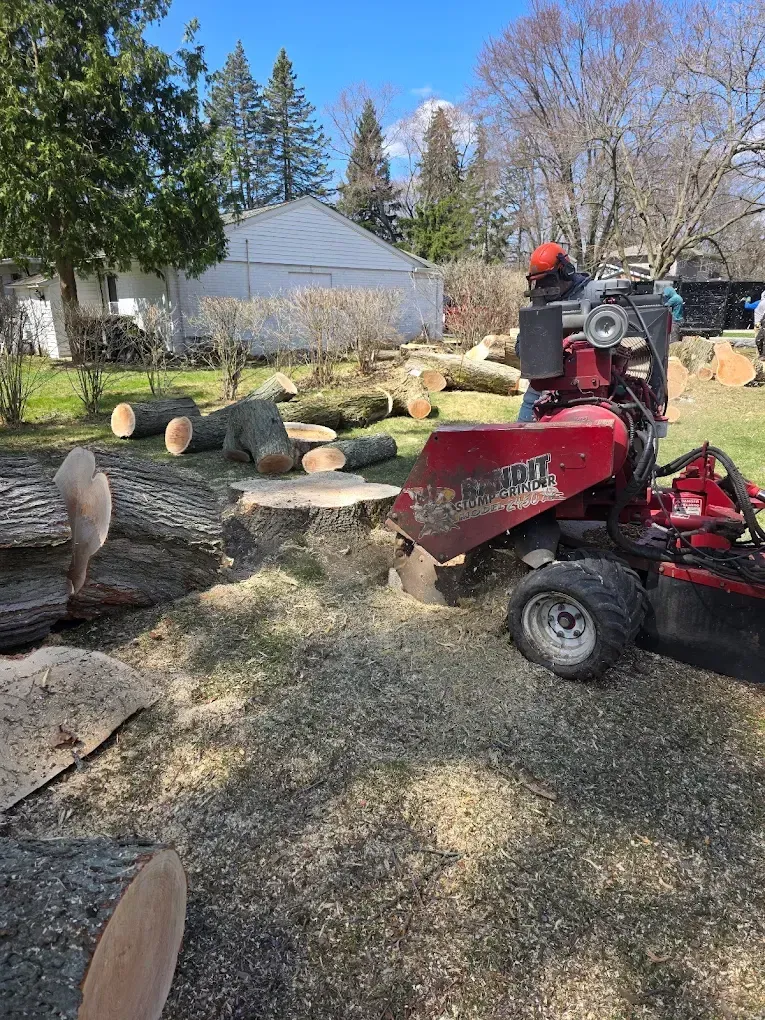Person operating a red stump grinder, grinding a tree stump in a yard, wood debris everywhere.
