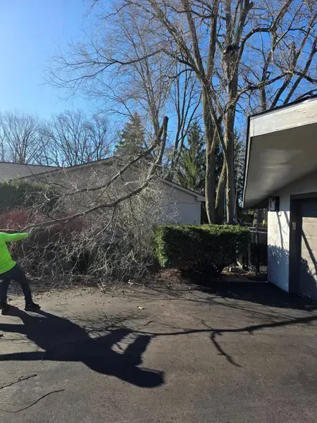 Man in green vest clearing fallen tree branches next to a building on a sunny day.