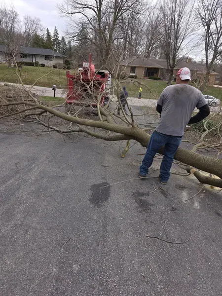 Man feeding tree limb into wood chipper on driveway.