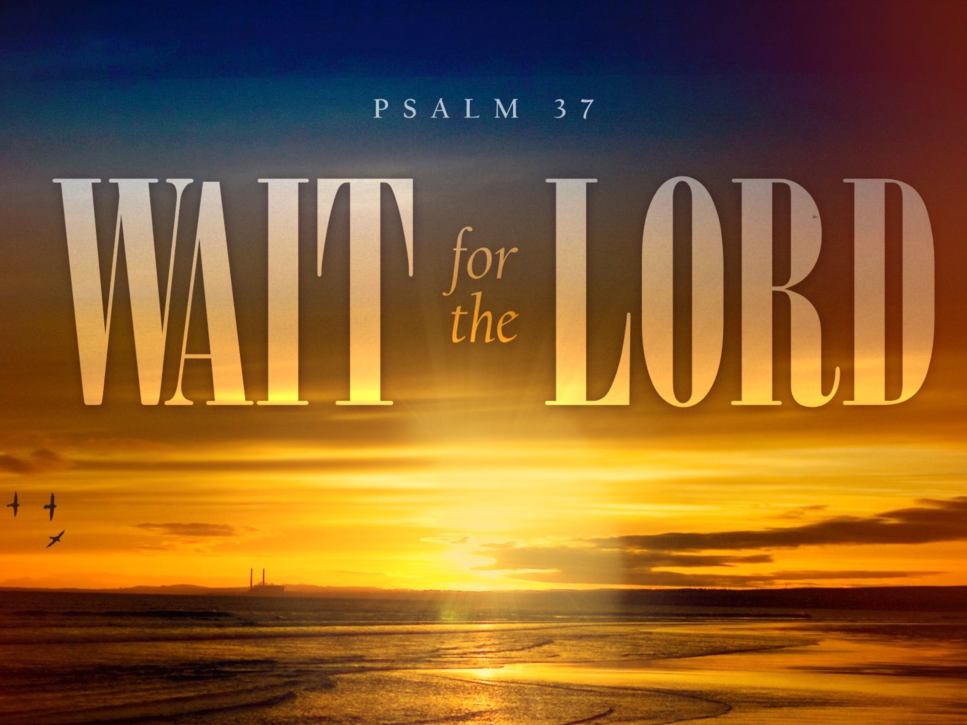 Wait for The Lord