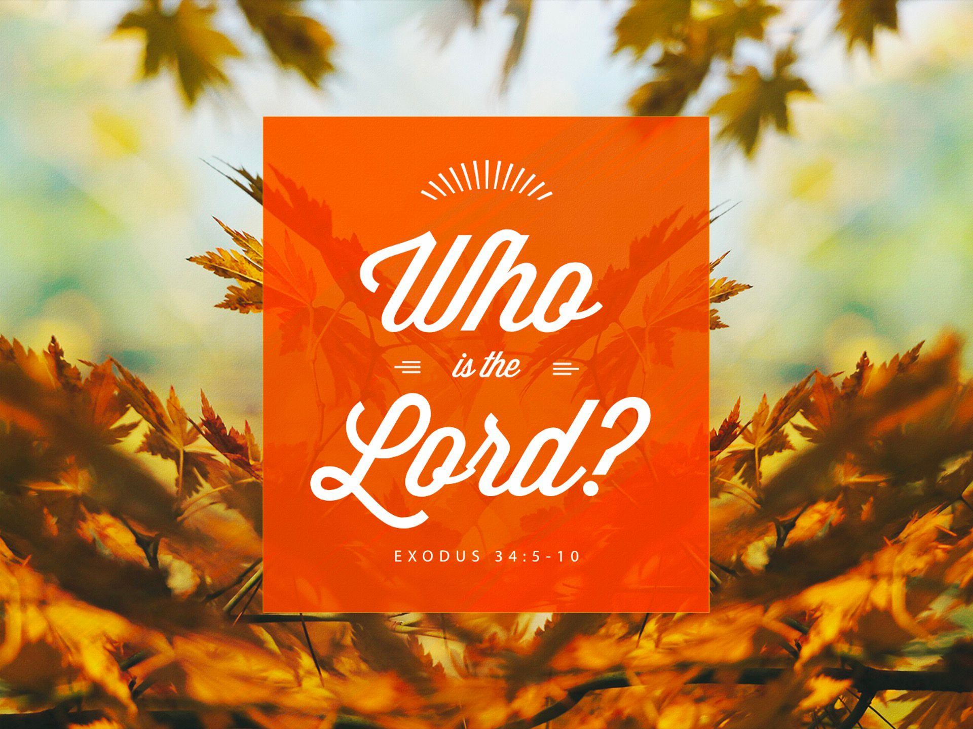 Sermon title: Who Is The Lord?