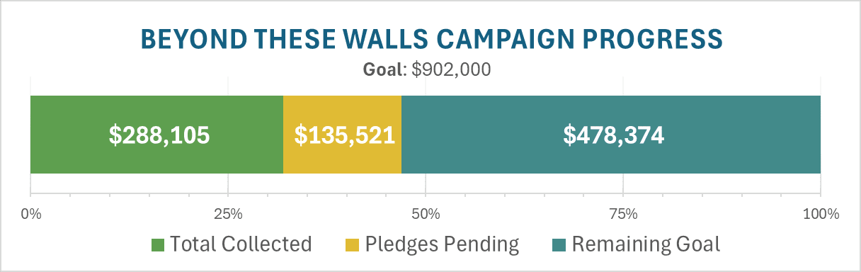Beyond These Walls Campaign Progress
