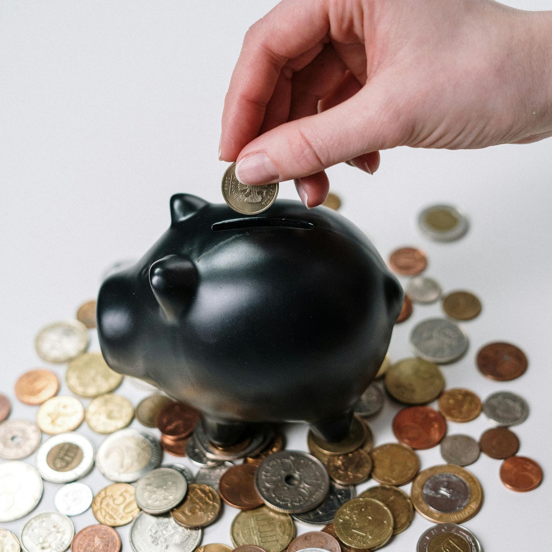 A person is putting a coin into a black piggy bank for Fraser Corporate Finance.
