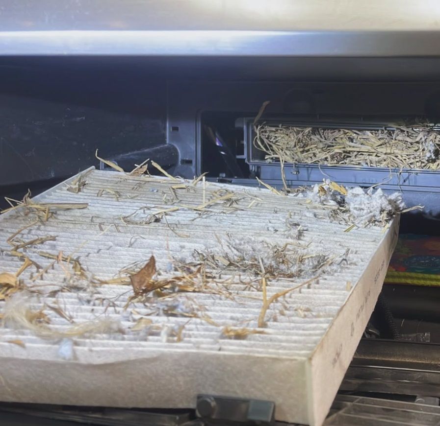 A cabin air filter stuffed with leaves