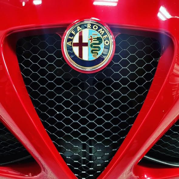 Alfa Romeo logo on a grill