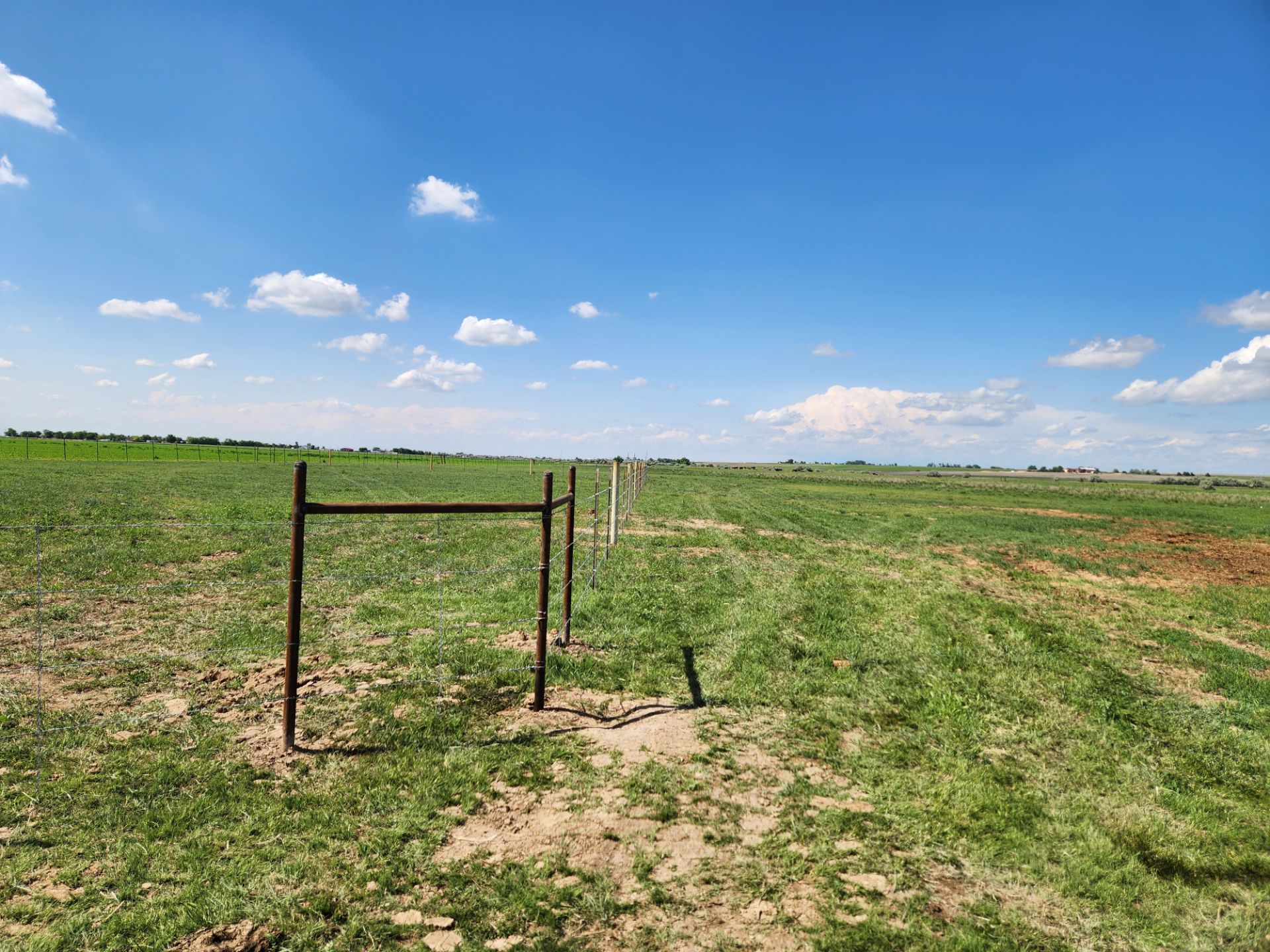 There is a fence in the middle of a grassy field.