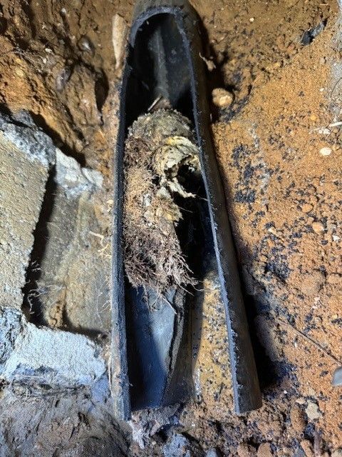 A clogged, collapsed sewage pipe cut open to be repaired by steen & son plumbing and heating in mays landing, new jersey