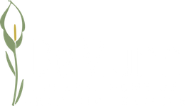 DeMunn Funeral Home and Cremation Center logo